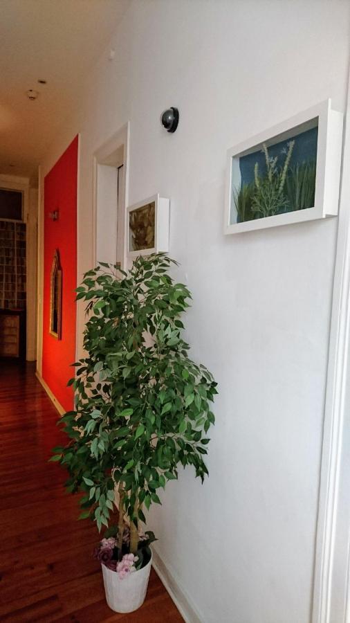 No Limit Alfama Guesthouse Lizbona Zewnętrze zdjęcie
